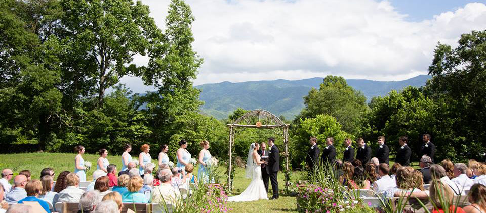 morning_glory_farm_mountain_view