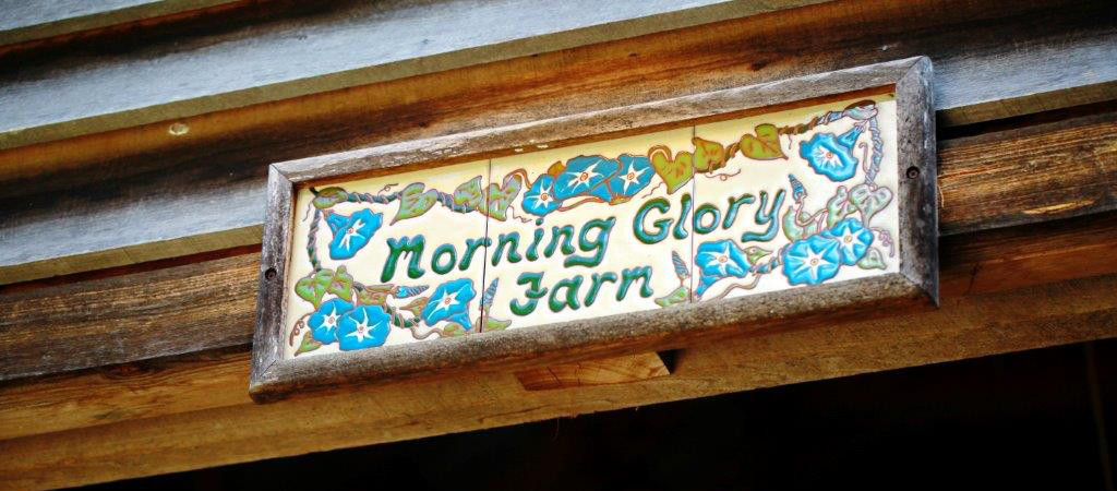 morningloryfarmhomepage